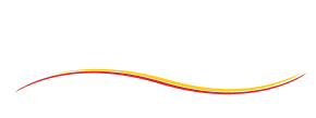 AMS Holding
